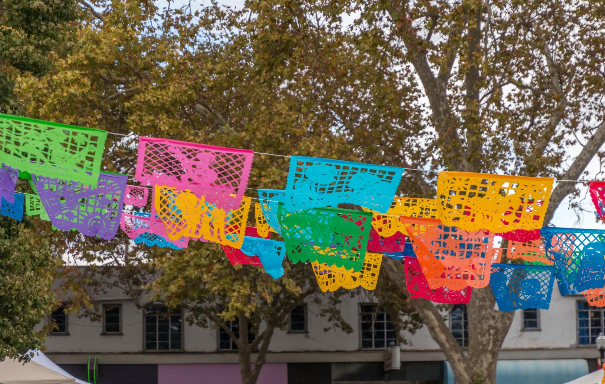 Celebrating Sacramento: Local Festivals You Shouldn’t Miss